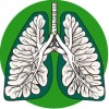 Традиционная китайская медицина для заболеваний дыхательной системы